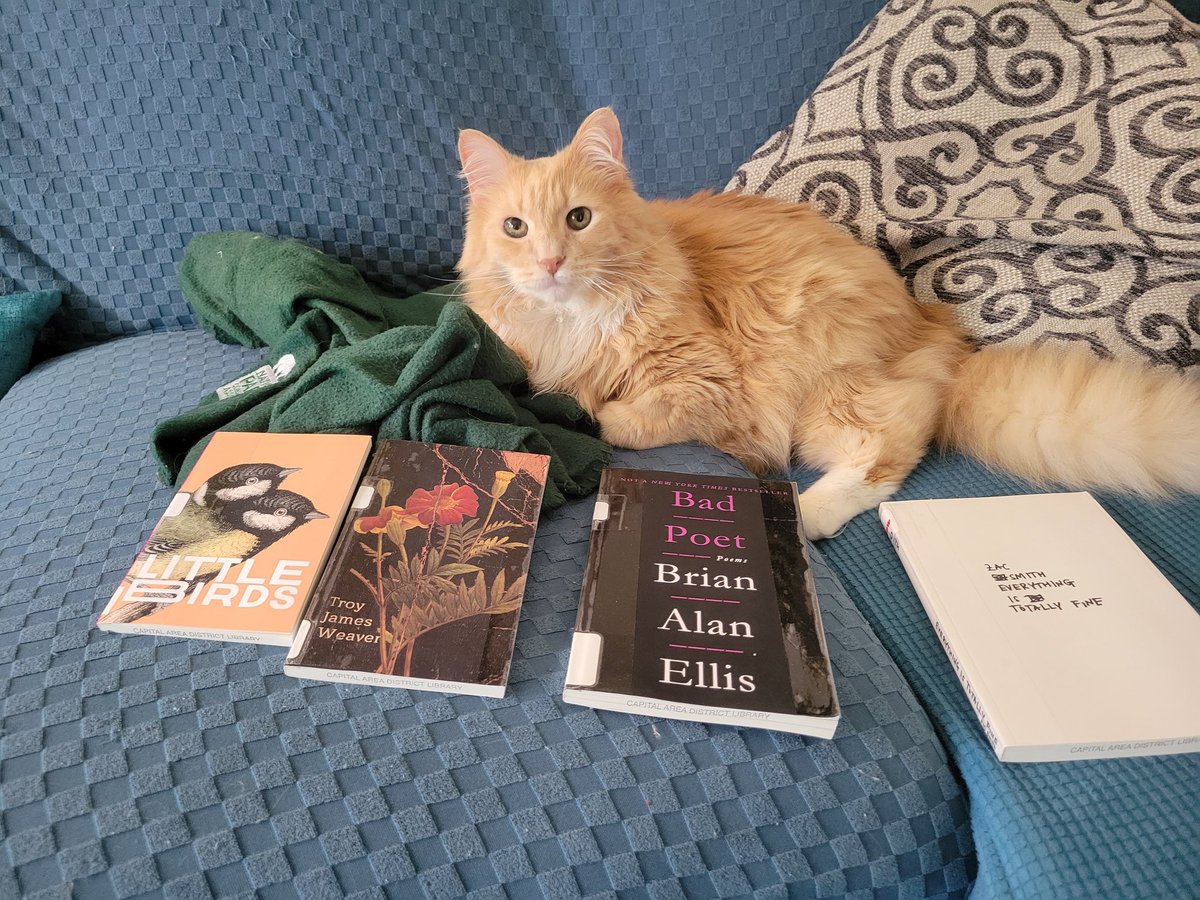 BenjaminZScott's tweet photo. Got my library to buy these books from @FilthyLoot @kingshotpress @HouseofVlad @muumuuhouse authors @sampinkisalive @saderotica @NateLippens @SJXSJC @brianalanellis @garethcmckay @Teaweave @zacsmithtweeto https://t.co/Z5IWQ3F7Um