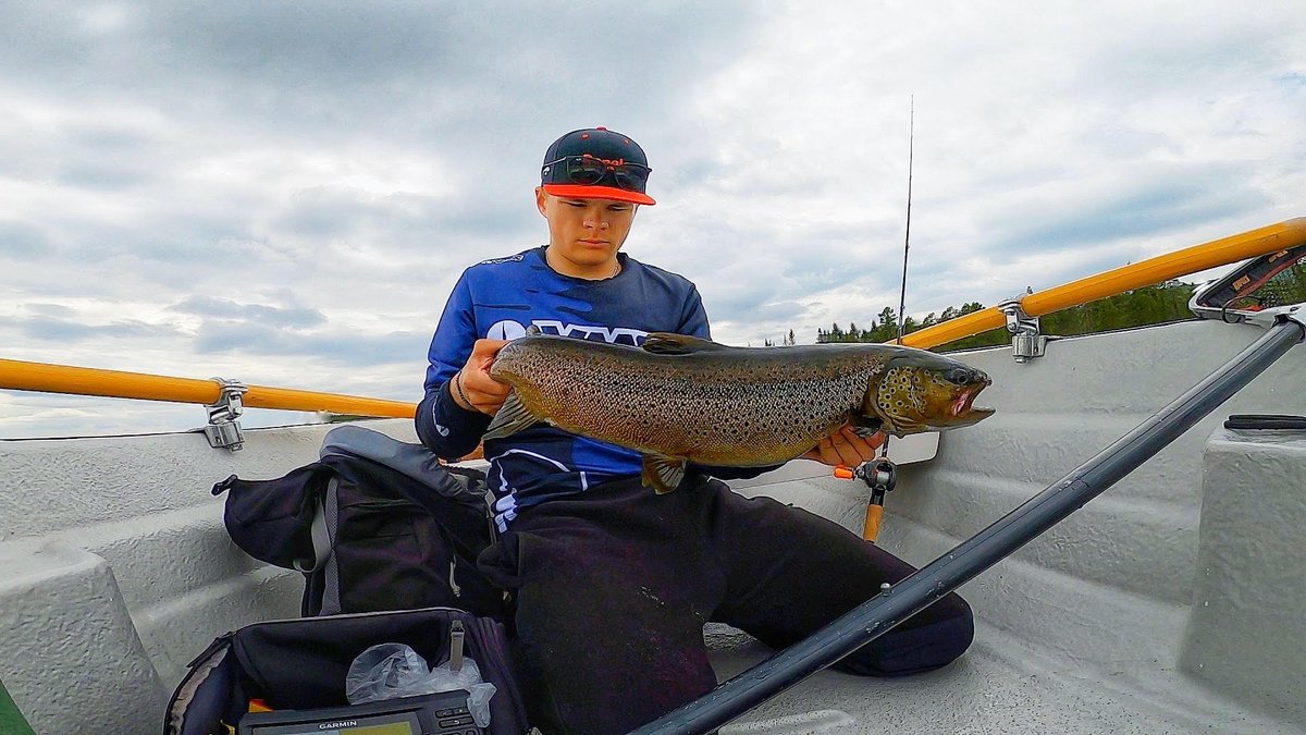 RapalaProguide's tweet image. Trollingfisket är inlett med rullskrik! 
Nytt blogginlägg av Lucas Lövgren

Båtsäsongen är i full gång och fisket likaså. Trots kallt vatten så var det en sjukt bra båtpremiär fiskemässigt. Totalt 22 öringar vara...... Läs mer rapalaproguide.se/2022/06/trolli…