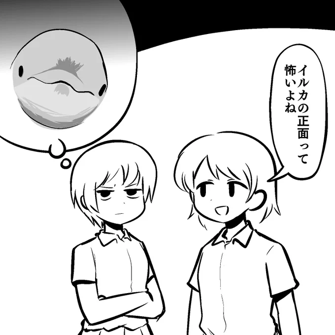 🐬 