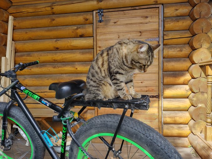 На этой фотографии идеально всё https://t.co/8JeNyaWigD<a href="/tag/%D0%BC%D0%BE%D0%BD%D1%81%D1%82%D1%80%D0%B0%D1%86%D0%B8%D1%8F2020"class="tags"><span>#монстрация2020</span></a>