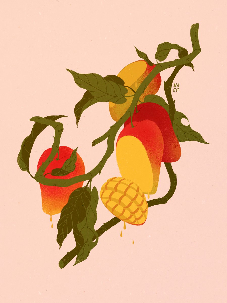 no humans food simple background leaf fruit signature plant  illustration images