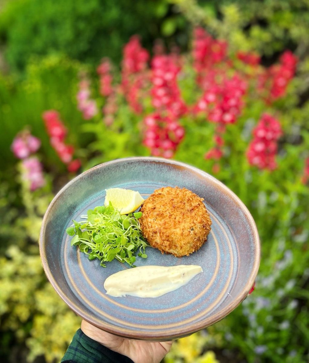 From our weekend specials menu.

Ratatouille Risotto, rocket pesto &amp; crumbled goats cheese.

Rainbow trout fish cake, crab &amp; lemon mayonnaise, watercress &amp; frisse salad.