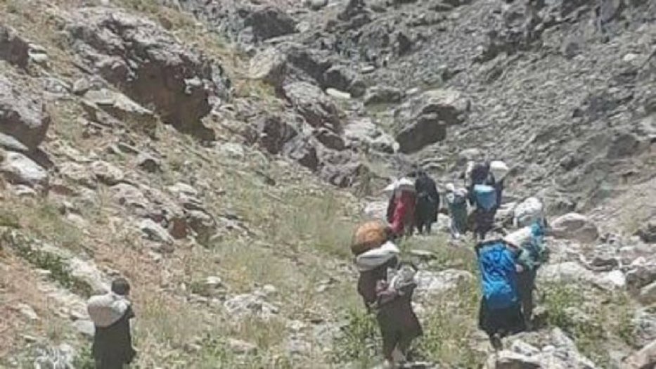 _hadinoori's tweet photo. #Taliban massacres #Hazara people in #Balkhab of #Sarepol province and Lalwasar-jangal of #Ghoor province. 100s of Hazara families are displaced from their homes in fear of Taliban 's mass-atrocity. #helpbalkhab
#Afghanistan #Bamyan #StopHazaraGenocide @SR_Afghanistan https://t.co/Db395quklZ