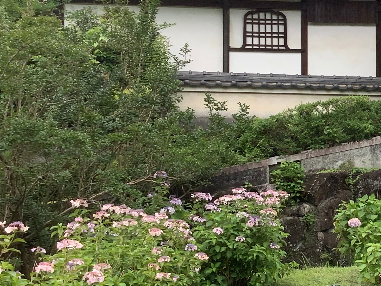 長弓寺 Twitter Search Twitter