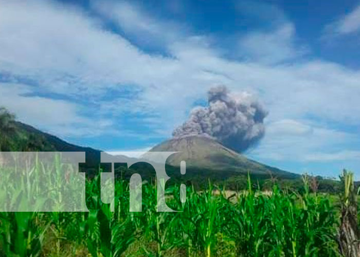 canaltn8's tweet photo. #AHORA #Nicaragua | Hace unos momentos el Volcán San Cristobal en su proceso de gasificación realizó una exposición en la que hubo emanaciones de ceniza.

Así mismo, autoridades mantienen permanentemente vigilancia al coloso más grande de Nicaragua . https://t.co/R4OB3IkqJA