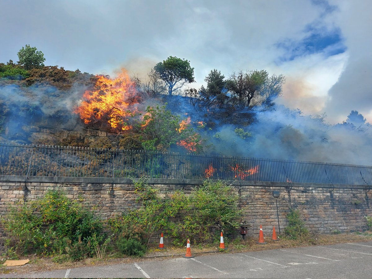 James Coltham tweet media