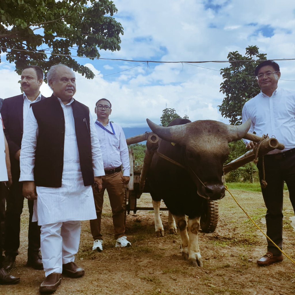 PIB in Nagaland (@pibkohima) on Twitter photo Hon'ble Union Minister of Agriculture and Farmer's Welfare Shri Narendra Singh Tomar visited ICAR-NRC on Mithun Farm
<a href="/nstomar/">Narendra Singh Tomar</a>
#agriculture #agrigoi Hon'ble Union Minister of Agriculture and Farmer's Welfare Shri Narendra Singh Tomar visited ICAR-NRC on Mithun Farm
<a href="/nstomar/">Narendra Singh Tomar</a>
#agriculture #agrigoi