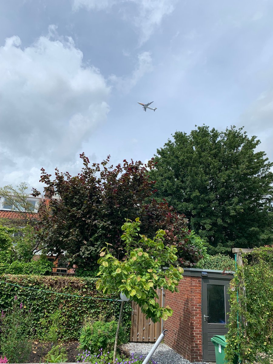 Wederom teringherrie van Schiphol zoveelste zondag op rij