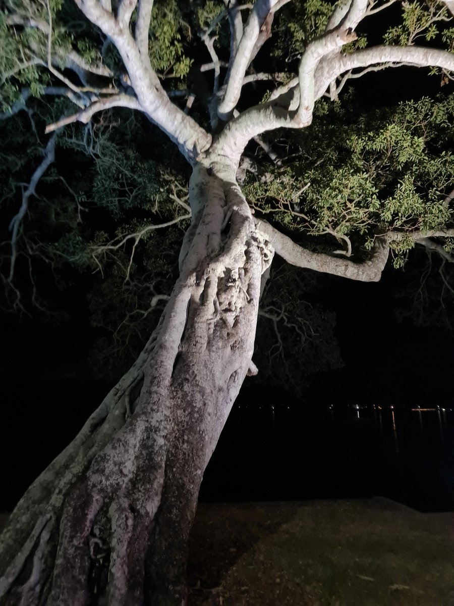 bytetime's tweet photo. As the weekend comes to an end I am feeling an immense sense of gratitude. Life may have its challenges but nature always offers the chance to heal
#coastlife
#saltwatergirl
#winterinQLD https://t.co/tu5n6qrRNV