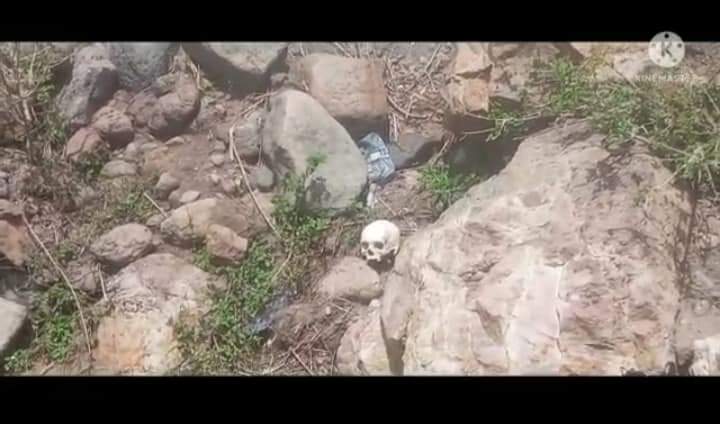 burqumsa's tweet photo. This is at the site of #ChefaRobit massacre where over 50 Oromos were taken out of jail and then executed on highways in Amhara region by Fano terrorist group enabled by Federal forces. We Never forget what this animal done to our pple. https://t.co/nCNfXnklJq