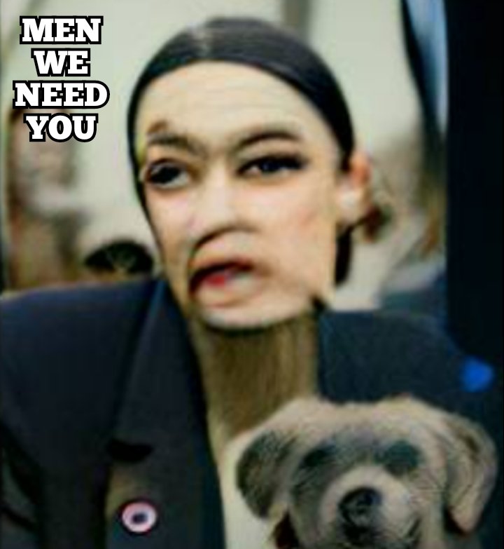 ElGuapo1347's tweet photo. @AOC You old crones hate men so it's delicious seeing you beg us for support. I'd support aborting your career. https://t.co/pogcJiq4ll