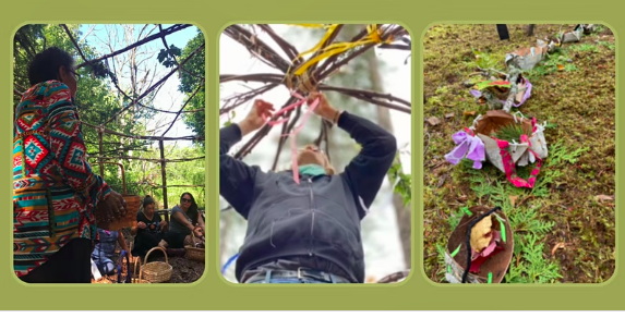 Diane Kashin tweet media