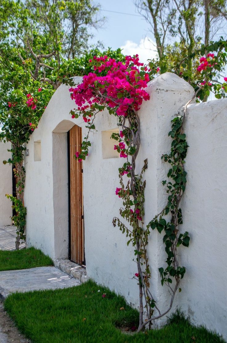 شجرتين بالخارج مُختارة بعناية وجهنمية بالداخل تمنحك هذا المنظر ،،، لون الجدار الأبيض زاد من نسبة الجمال . #حدائق_منزلية