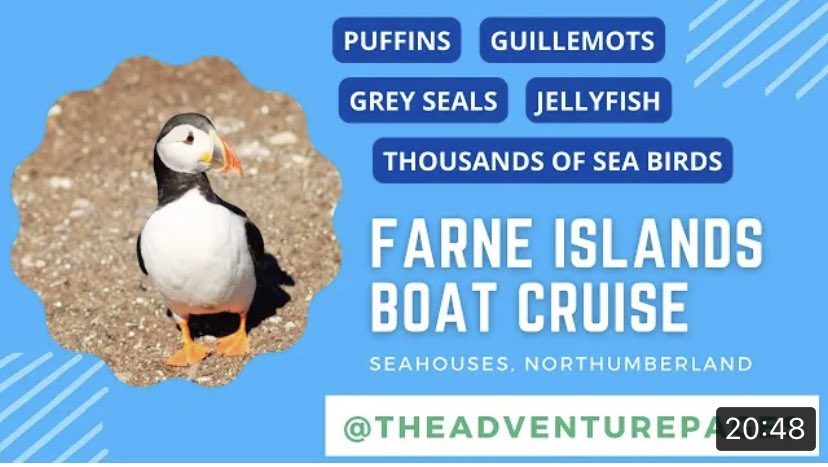 ThePagesTravel's tweet photo. New video up on YouTube featuring our trip to see #puffins in the #FarneIslands
 https://t.co/GFFnpXe75x #theadventurepages https://t.co/1VQFCczM42