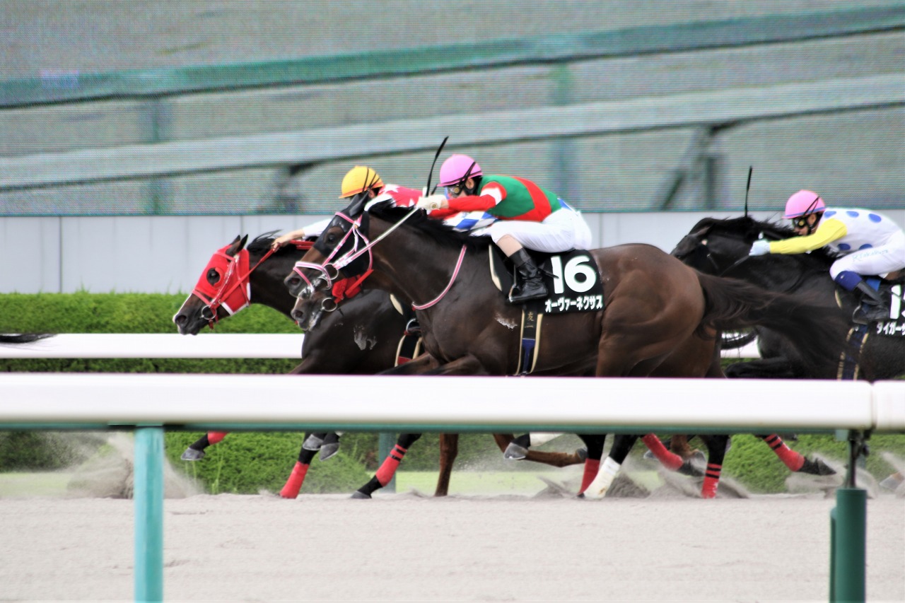 Taka M 厩舎長 分場 22 06 26阪神10r花のみちs 3歳以上3勝クラス ダート1400m 1着 オーヴァーネクサス 牡5 鹿毛 栗東 松下武士厩舎 北村友一騎手 父 キズナ 母 オーヴァーアンダー Seeking The Gold 北村友一の復帰後初勝利は レシステンシアの松下