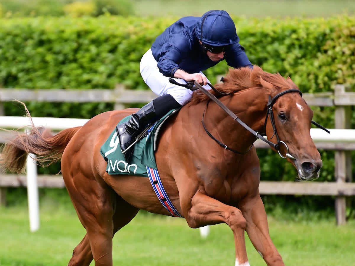 Stephen R Power (@racingblogger) on Twitter photo ๐ท If STATUETTE wins the 2.10 at the Curragh I'll give ยฃ50 CASH to one of you lucky people! ๐ฎ๐ช
To Enter: ๐
1๏ธโฃ RT this Tweet
2๏ธโฃ Follow <a href="/racingblogger/">Stephen R Power</a>
๐ธ instagram.com/racingblogger/
#Sunday #IREvIND #Horseracing ๐ท If STATUETTE wins the 2.10 at the Curragh I'll give ยฃ50 CASH to one of you lucky people! ๐ฎ๐ช
To Enter: ๐
1๏ธโฃ RT this Tweet
2๏ธโฃ Follow <a href="/racingblogger/">Stephen R Power</a>
๐ธ instagram.com/racingblogger/
#Sunday #IREvIND #Horseracing