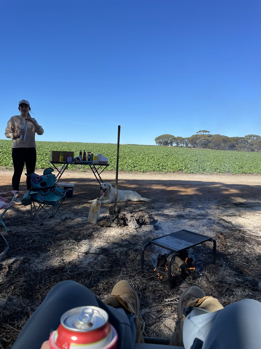 John Carmody tweet media