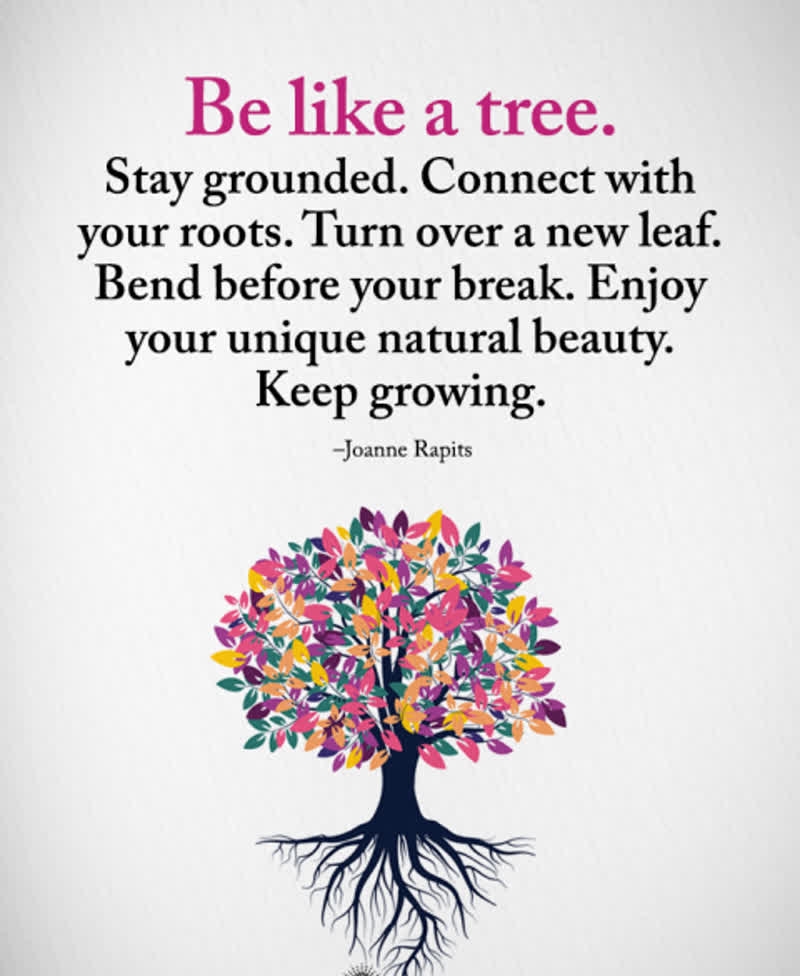 Life is beautiful! #yourhousedoctor #life 🌿 #nature #toptags #theoutdoorfolk #nature_lovers #nature_brilliance 🌳 #trees #tree #toptags #landscape #nature