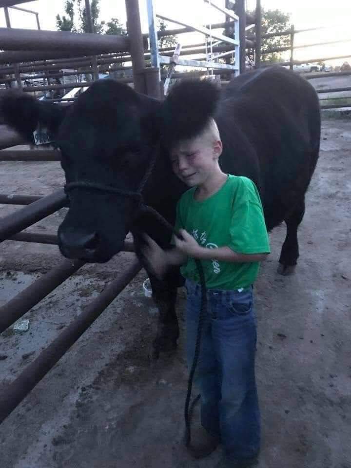 The 4-H agricultural program teaches children to raise animals But at the end of the Ed program, they are forced to give their animals up for sale. This distressed boy leads his special friend for the last time. Is this what we should be teaching children?