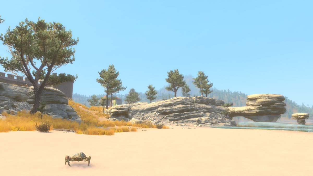 TESRSkyblivion's tweet photo. The weather is perfect for a day on the beautiful beaches of the Gold Coast wouldn't you agree? ⛱☀️

#skyrim #oblivion https://t.co/dULifurqlA