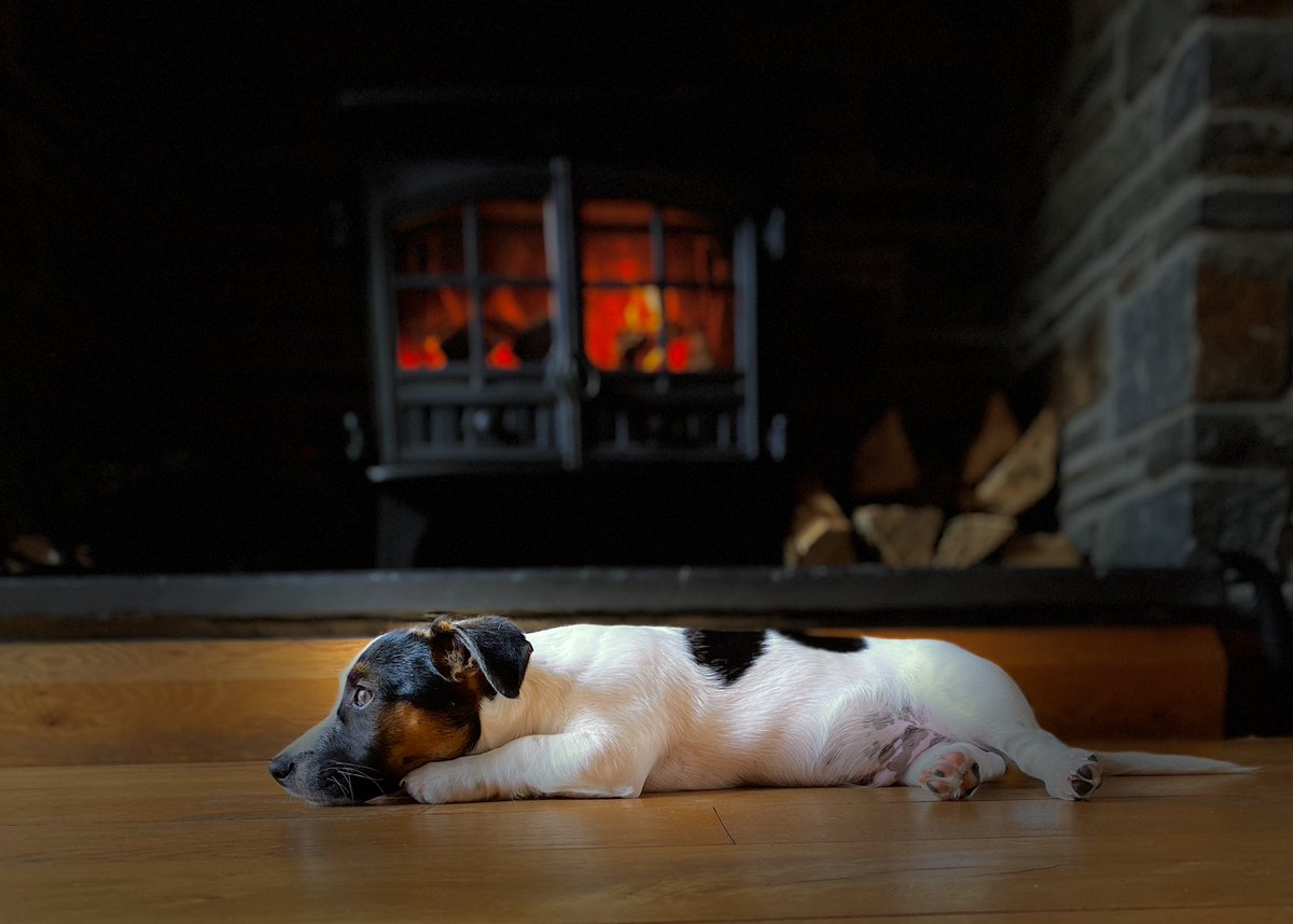 AledHall's tweet photo. Wel,mae’n ddiwrnod uffernol mâs ‘na heddi,fel gaeaf a fel hyn mae yn tŷ ni…ie wir wedi cynnu tân ar ddiwedd mis Mehefin🙁

Well,it’s an awful day out there,like winter so this is what it’s like in our house.Yes,a fire lit at the end of June🙁
@ThePhotoHour 
#Twm❤️
#JuneWinter https://t.co/LNGfwdANWY