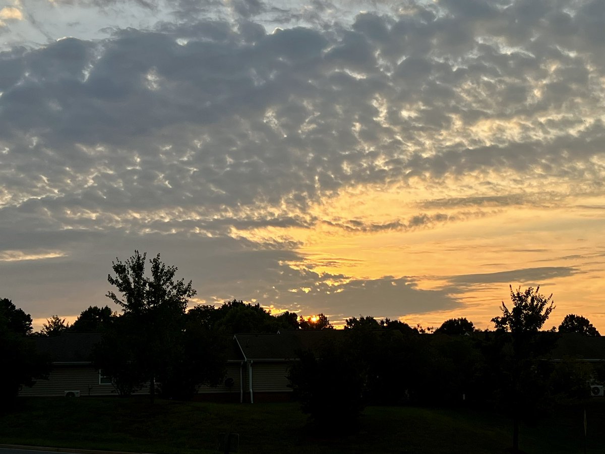 Jimbo_Slice2899's tweet photo. Gm fam! Get up and get that grind rollin’🌄🦾🧹💎😶‍🌫️💚😎 📈📉#GetUpandGetToIt #DailyGrind #Solana #NFTs #Crypto #LetsTrade #ShowMeTheCharts https://t.co/fAJETu6vyI