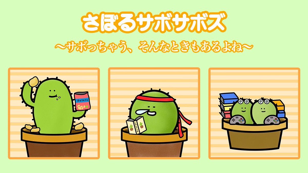 🌵はっしー🌵サボサボファーム🌵 tweet media
