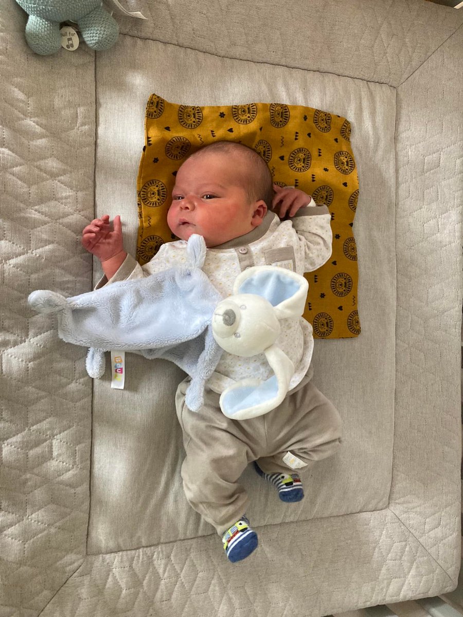 Flandrensis_Gov's tweet photo. We're very pleased to announce that Grand Duchess Delphine gave birth to a boy on 23/06/2022. The little prince was given the royal name Prince Jacopo de Mersch d’ Oyenberghe. Prince Ferdinand and Prince Jakub are very proud on their little brother! #micronation #micronationalism https://t.co/T7EBFOCj2Y