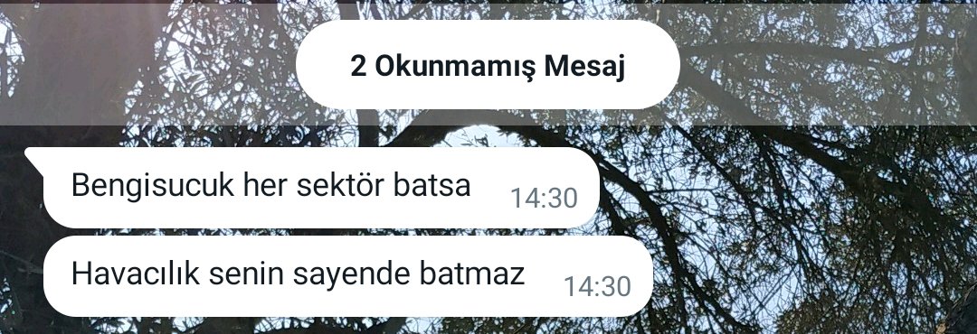 Her hafta uçuyorumdur