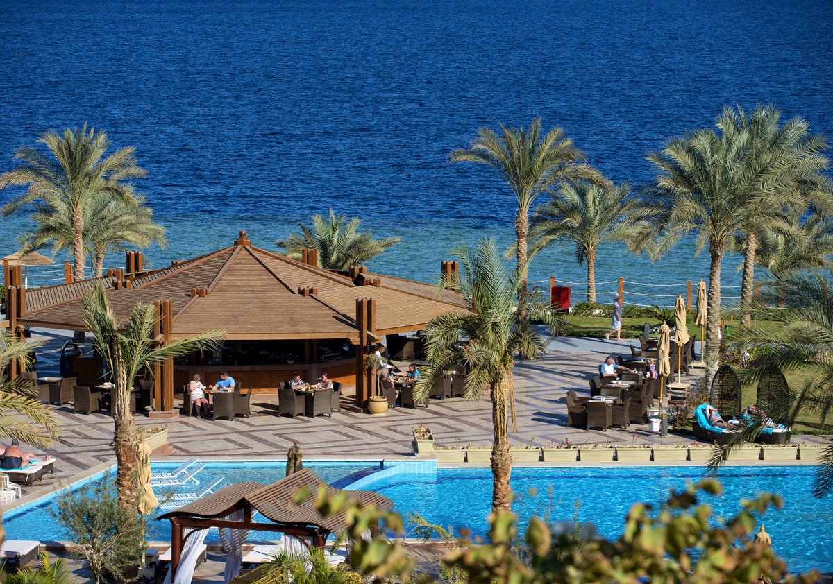 SRMontemare's tweet photo. You’re close to nature in a way that your mind won’t be able to stop daydreaming. 

#SUNRISEResortsAndCruises #SUNRISEMontemareResort #RedSea #SharmElSheikh #ThisIsEgypt #Egypt #Vacation #Travel https://t.co/17146k2bri