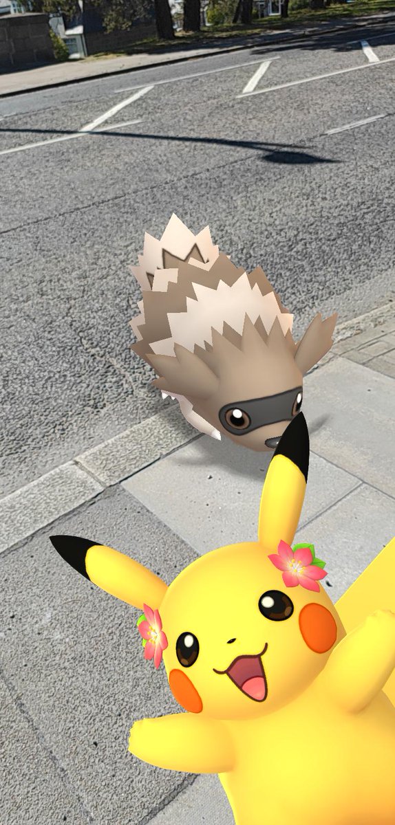 UnownC4ller's tweet image. Photobombed by Pikachu ☺️🤣 #PokemonGO #ARmode