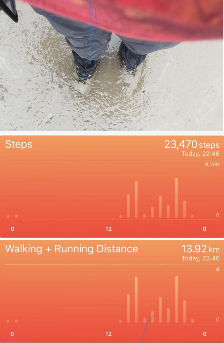 Gareth Fry tweet media