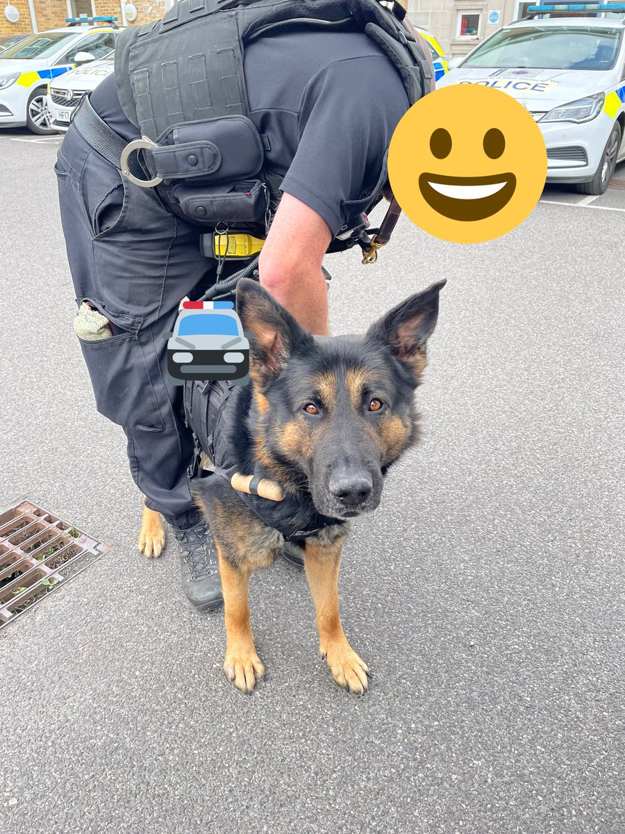 PoliceDogDorset's tweet photo. The #OD741 team had a busy day assisting with the detention of outstanding offenders, PD Tag took it all in his stride if course.. 🐾

#FSD #dorsetpolice #GSD #policedogs https://t.co/0NO1URs5fe