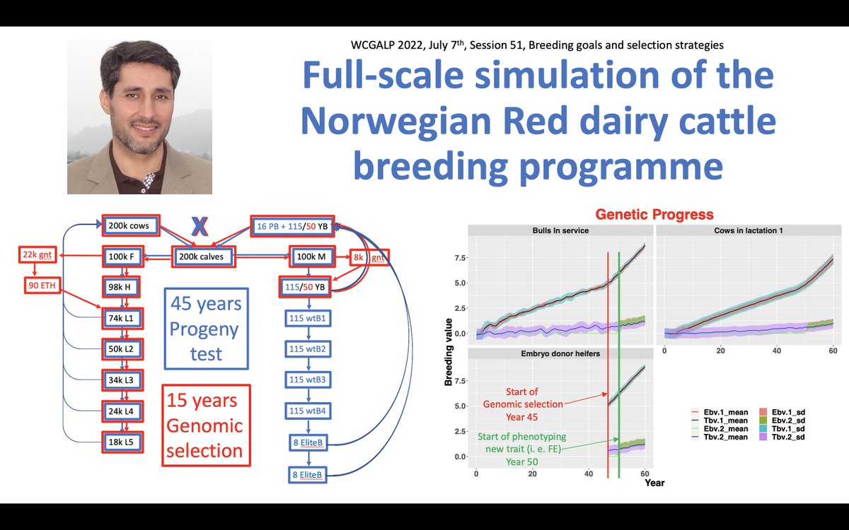 Alireza Ehsani tweet media