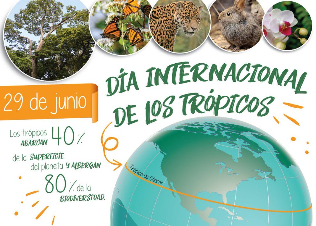 ADNFatalLibro's tweet photo. 29 de junio - El Día Internacional de los Trópicos tiene su origen gracias al premio Nobel Aung San Suu Kyi, quien dio a conocer el primer Informe sobre el Estado de los Trópicos, y avaló este estudio con un grupo de centros de investigación.

#29jun https://t.co/a0LeCuQrHb