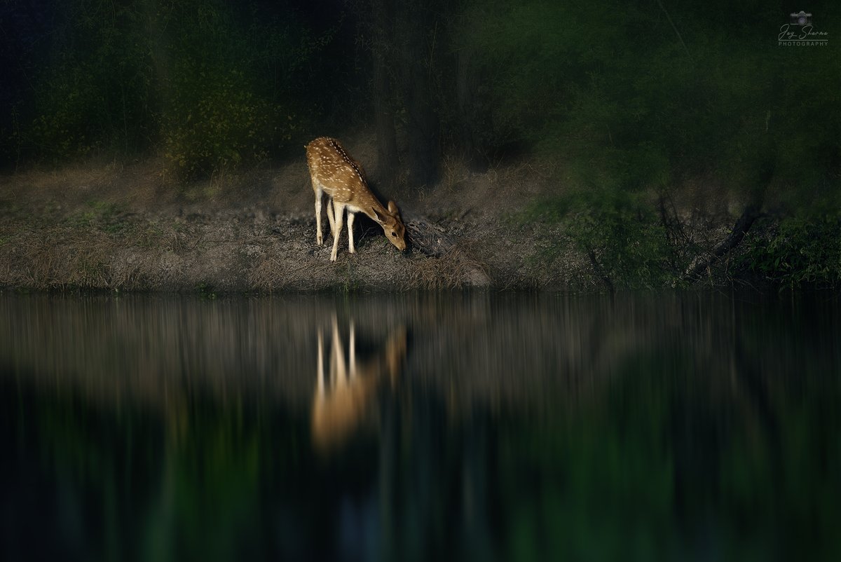 ForcesNetwork1's tweet image. #Happy to #announce that we are starting a new #Photography section in our #magazine ForceNet E-Zine called Moment In Time. Will provide a #platform for our members to showcase their #talent. #Sharing a sample pic to showcase the quality of #pics we are expecting. Details follow!