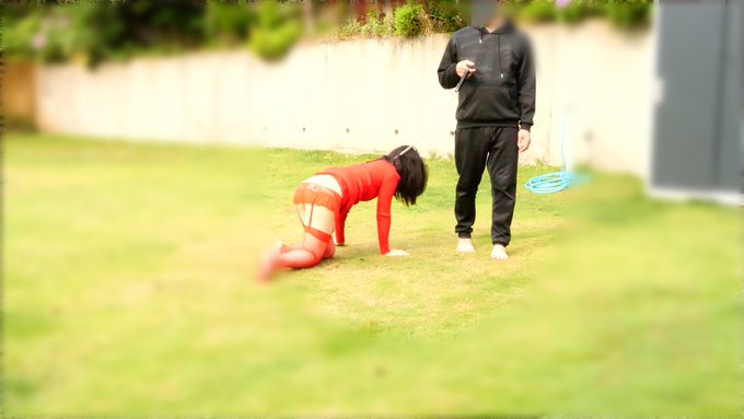 庭で散歩の練習をさせました。 上手に歩けるようになったら外に連れ出す予定です。 https://t.co/B6GxrMlDMs<a href="/tag/29onaho39"class="tags"><span>#29onaho39</span></a><a href="/tag/%E8%82%89%E3%82%AA%E3%83%8A%E3%83%9B%E6%9C%AA%E4%BE%86"class="tags"><span>#肉オナホ未來</span></a>