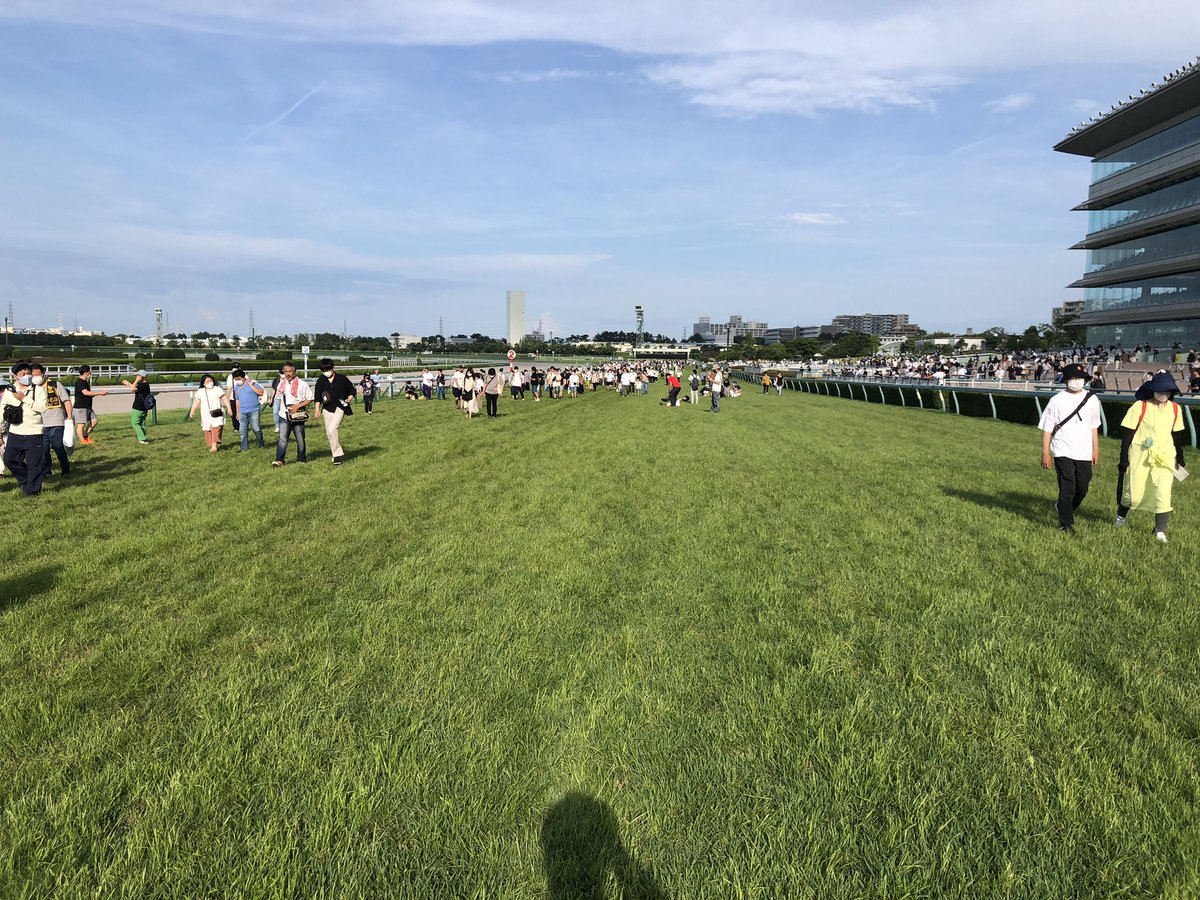 akawasa's tweet photo. 競馬やってて初めて馬場解放に参戦。
感動したけど、当たったのは運が良かったとしか言いようがないな。

娘に｢覚えてないだろうけど、あの芝生に入ったことあるんだよ」
とかそのうち言うんだろうね。 https://t.co/LoVhgr4fd0
