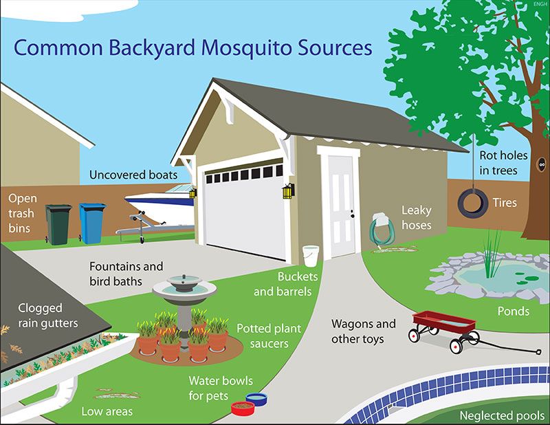 PutnamHealthNY's tweet photo. Have you heard of the 3 Ds of mosquito prevention?
✔️Drain standing water around your home
✔️Dress in light colored, loose fitting clothing
✔️Defend with an EPA registered repellent
Find more information at https://t.co/gMZE1vg3xU https://t.co/zUtprI98hr