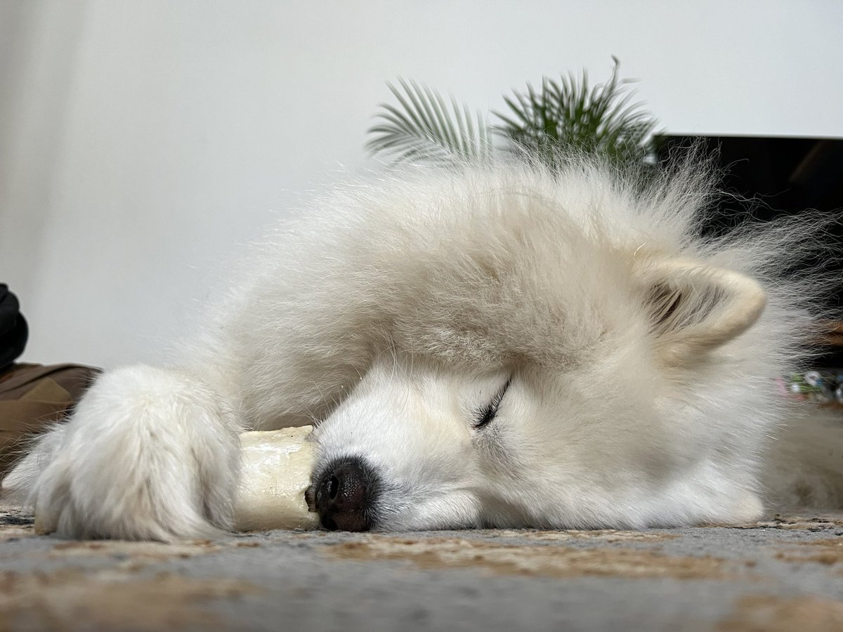 Sophie Hudson tweet media