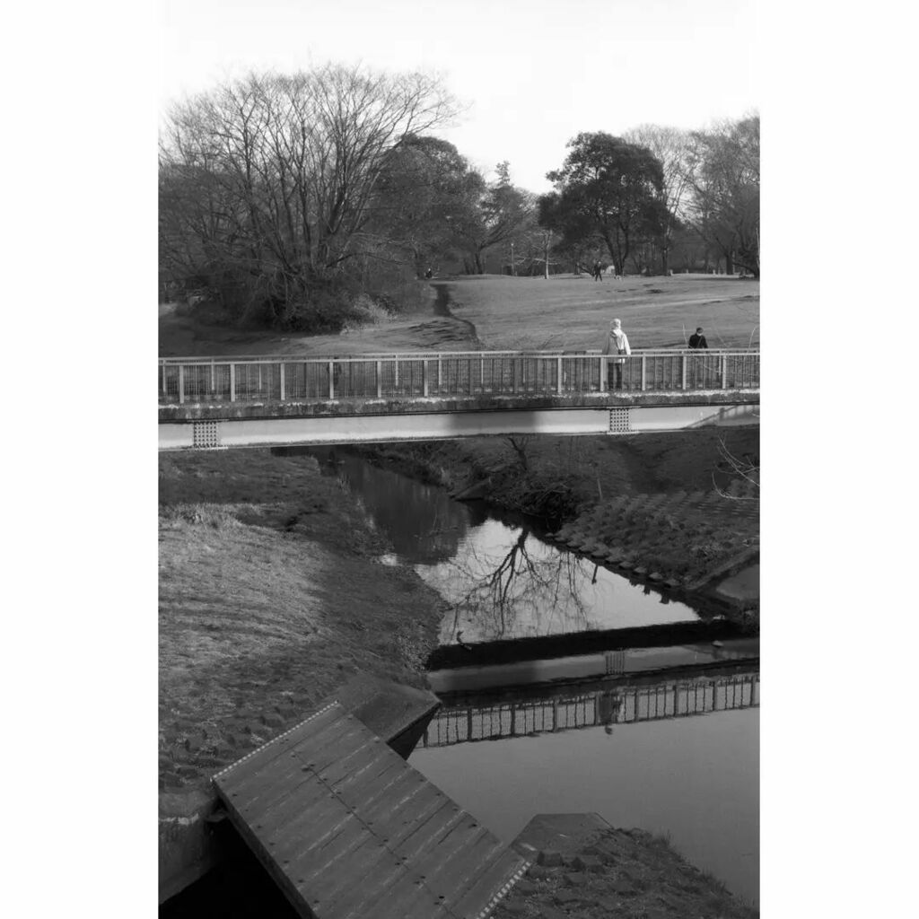 kei_arika's tweet photo. 散歩。
野川公園 2022.02
Nikon F6 / AF-S Nikkor 58mm F1.4G
#nikonf6 #nikon #Nikkor #nikkor58mm #afsnikkor #kodak #tmax100 #ニコ��� #filmphotography #blackandwhite https://t.co/QRDtqjMvU5