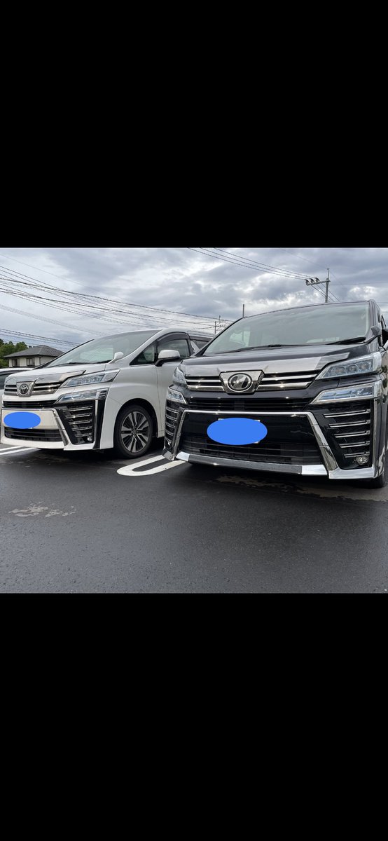 to_yosan's tweet photo. お隣に失礼しまーす🚗🚗 https://t.co/MTBBhSRIL8