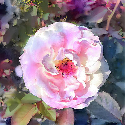 #pink #gardenart for your #walldecor.  #nature #delicatepetals #floralart #roses  #rose #wallartforsale #artprints #gardenpainting #buyintoart #findartthissummer #homedecor 

AVAILABLE HERE - deborah-league.pixels.com/featured/singl…