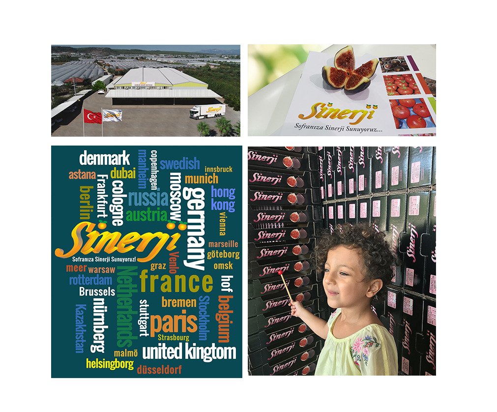 sinerjifresh's tweet photo. Mutlu Pazarlar.
We Offer Synergy In Your Life.
#incir #fig #fruit #delicious #flavor #export #bursa #august #september #october #France #Germany #hongkong #Swedish #Denmark #Dubai #Austria #UnitedKingdom #Belgium #Netherlands #Kazakhstan  @Berdanber https://t.co/RsgXbkRbwx