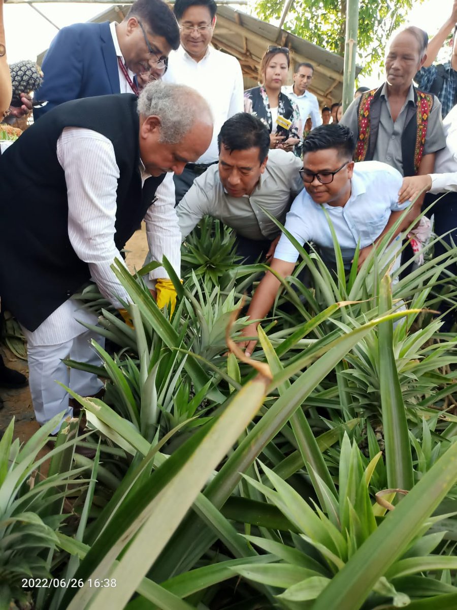 PIB in Nagaland (@pibkohima) on Twitter photo Hon'ble Minister of Agriculture and Farmers Welfare Shri Narendra Singh Tomar has visited Pineapple FPO field of Molvom village in Nagaland
<a href="/nstomar/">Narendra Singh Tomar</a> Hon'ble Minister of Agriculture and Farmers Welfare Shri Narendra Singh Tomar has visited Pineapple FPO field of Molvom village in Nagaland
<a href="/nstomar/">Narendra Singh Tomar</a>
