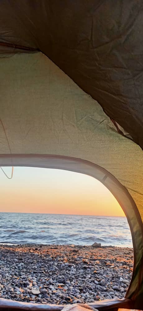 sofiaakin1's tweet image. 😍