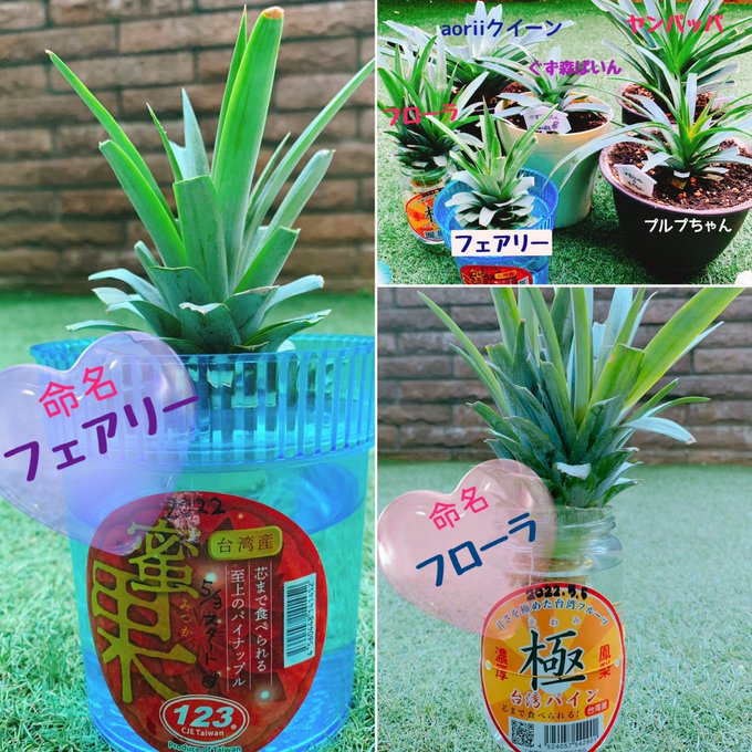 Twitterのコスプレ画像3