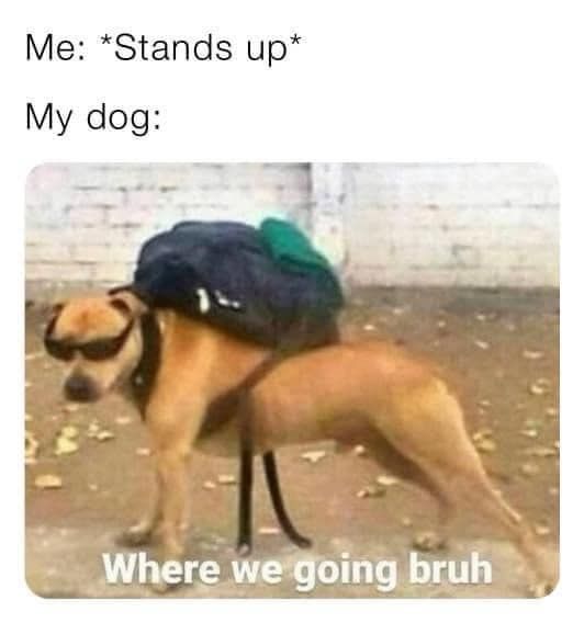 RespectfulMemes's tweet photo. https://t.co/02368ICSN2