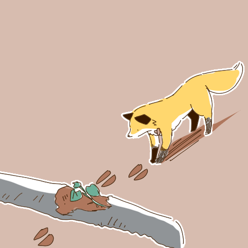 畑行ったら大きなイノシシの足跡と無残に根元を掘り返されたサツマイモあった 3 ごんのイラスト