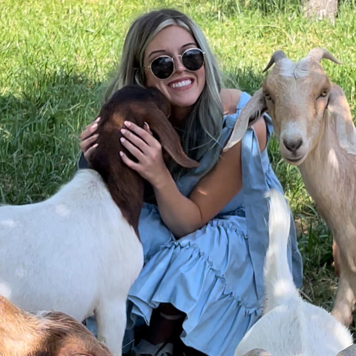 kaley_langille's tweet photo. Lil bo peep has lost her sheep but found a pack of cutie goats 🐐

📍 Riverside Oasis Farm
#toronto #yyz #goats #farm #niagaraonthelake #notl #weekendtrip #heaven https://t.co/THvFjLaeE4